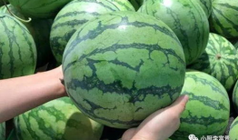 会长吃瓜爆料准吗,揭秘娱乐圈真相，准确度令人惊叹