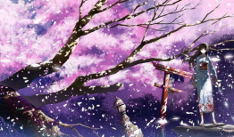 樱花动漫网站,带你领略动漫世界的缤纷色彩